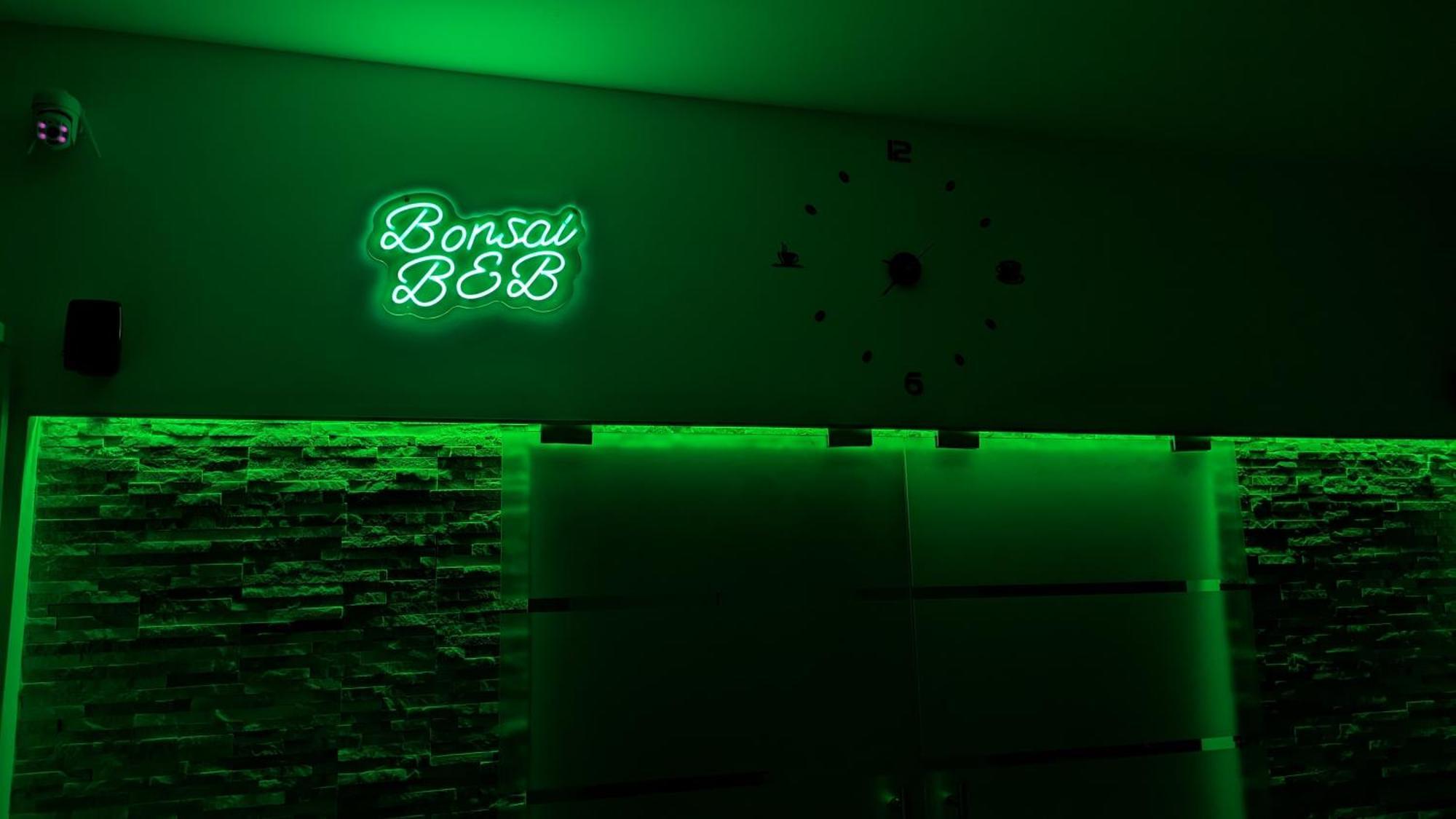 Bonsai Bed & Breakfast 피우미치노 외부 사진