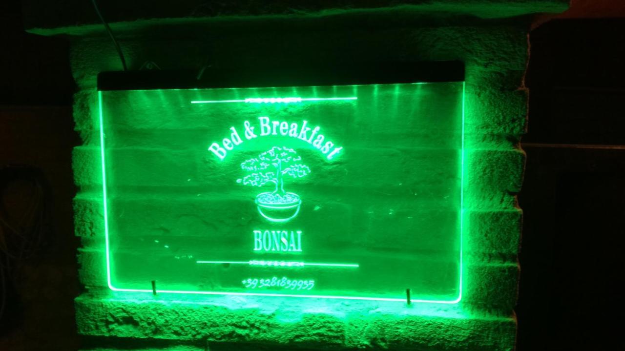 Bonsai Bed & Breakfast 피우미치노 객실 사진