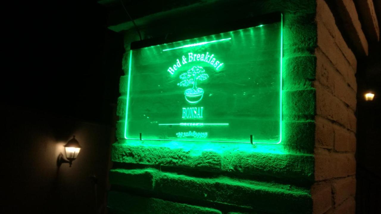 Bonsai Bed & Breakfast 피우미치노 객실 사진